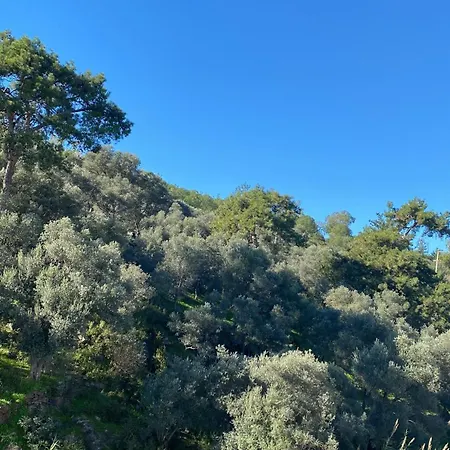 Nature View, Walking Distance To The Daire *